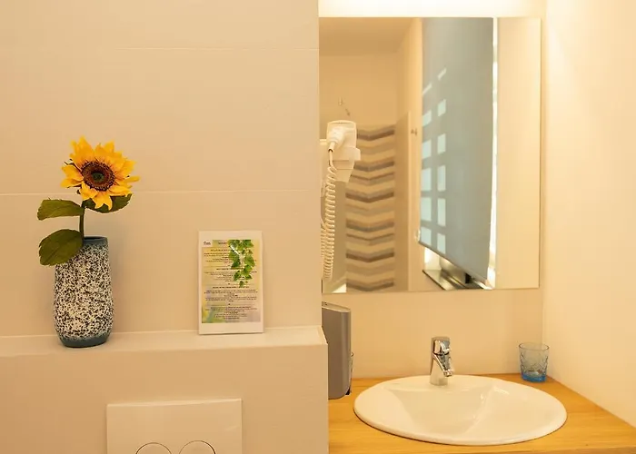 Manolle Boutique 3*